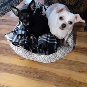 Meet your Posher, Patti